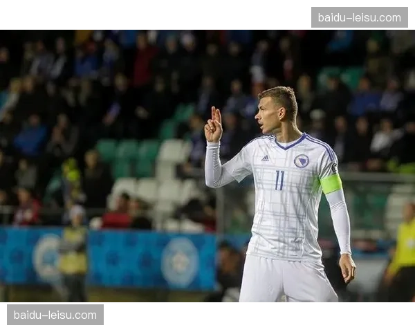 波黑队点球晋级代价高昂,哲科伤情牵动全队战术布置